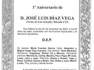 D. JOSÉ LUIS DÍAZ VEGA