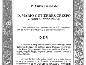 D. MARIO GUTIÉRREZ CRESPO